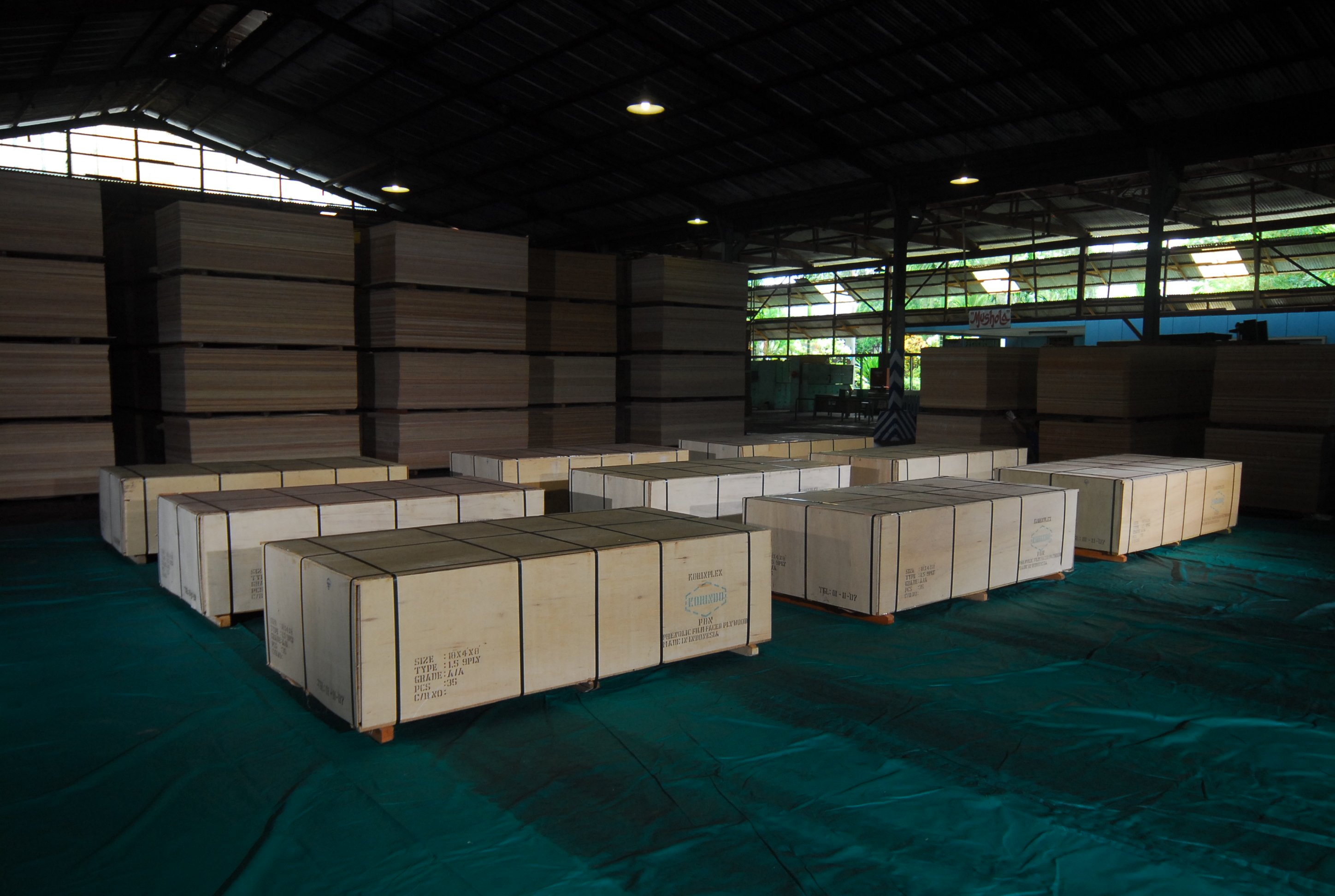 Plywood with export quality